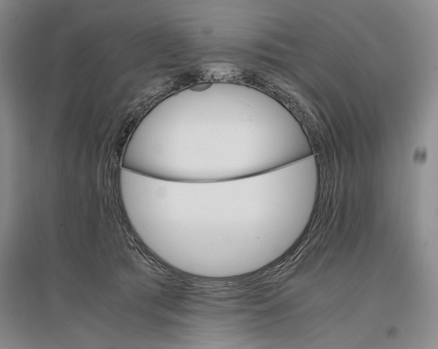 X0000096980417200802291150