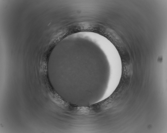 X0000096980419200802291150