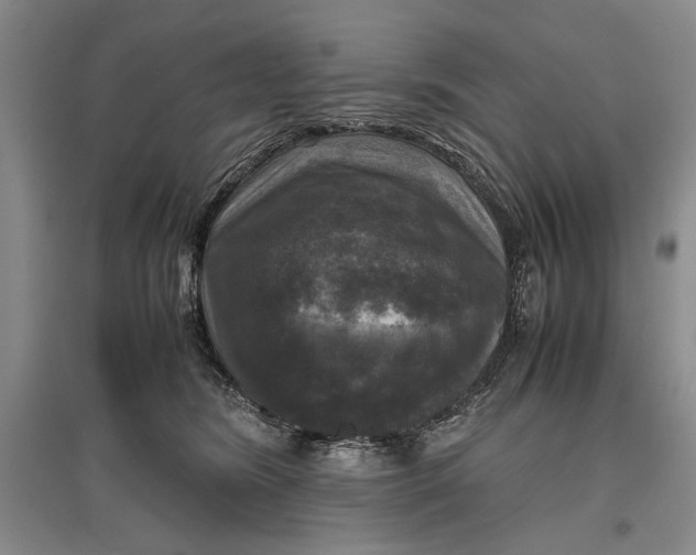 X0000096980420200802291150