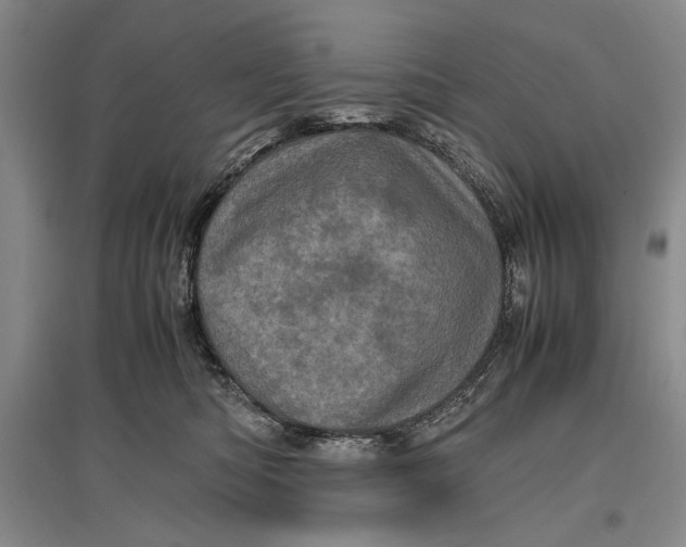 X0000096980422200802291150