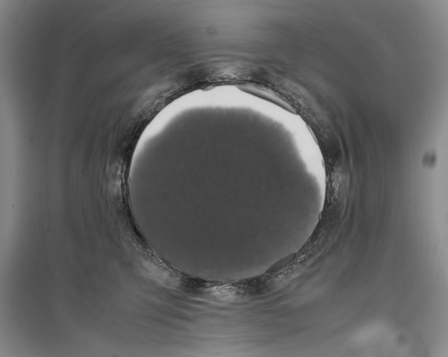 X0000096980423200802291150