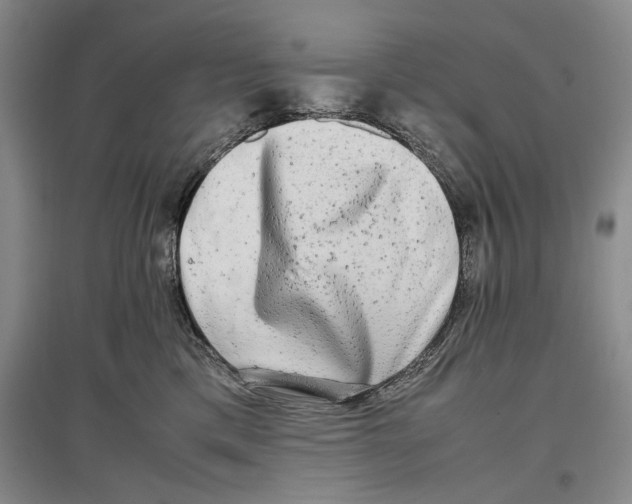 X0000096980425200802291150