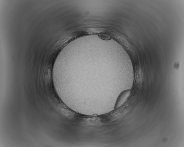 X0000096980426200802291150