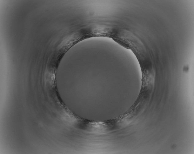 X0000096980427200802291150