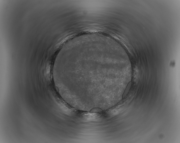 X0000096980428200802291150