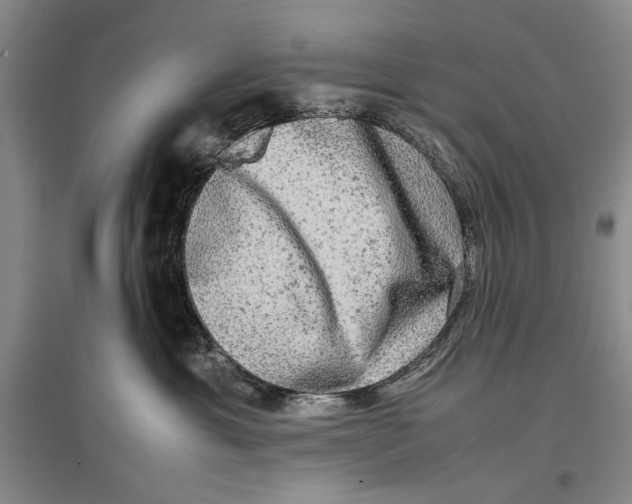 X0000096980429200802291150