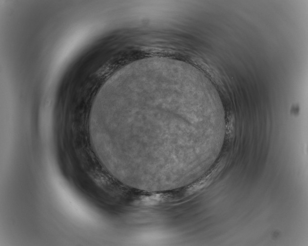 X0000096980430200802291150