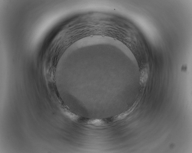 X0000096980431200802291150