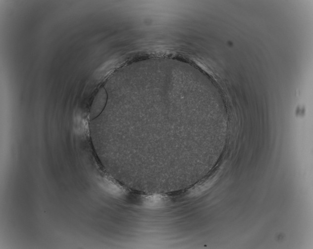 X0000096980432200802291150