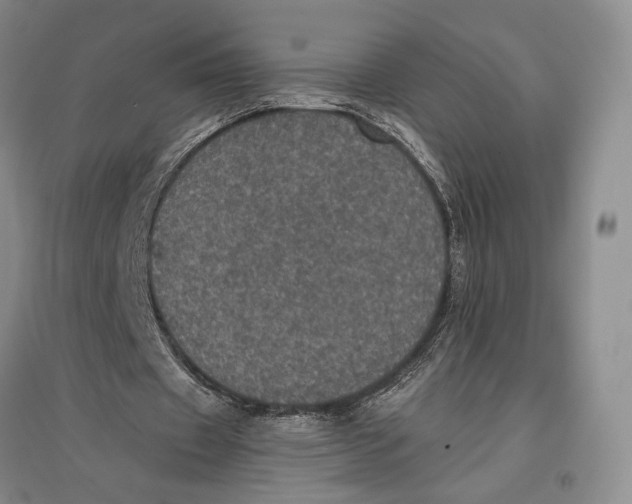 X0000096980433200802291149