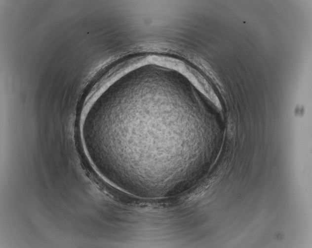 X0000096980434200802291149