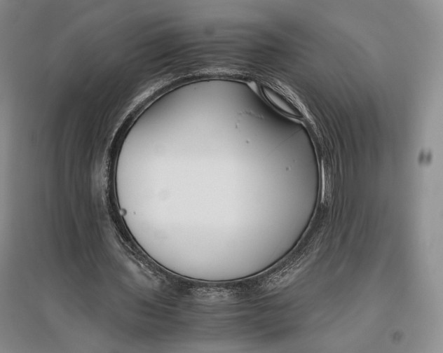 X0000096980435200802291149