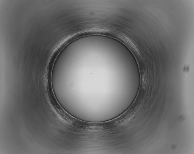 X0000096980436200802291149