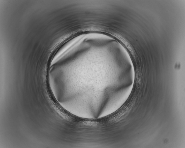 X0000096980437200802291149