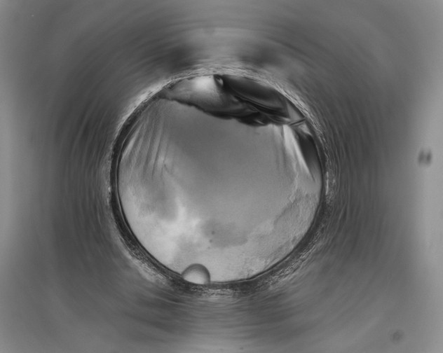 X0000096980438200802291149