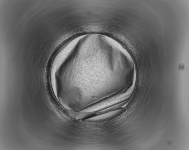 X0000096980439200802291149