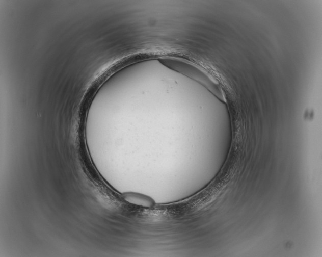 X0000096980440200802291149