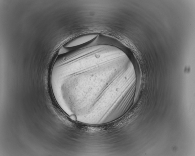 X0000096980442200802291149