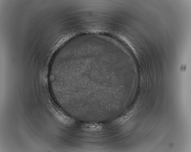 X0000096980443200802291149