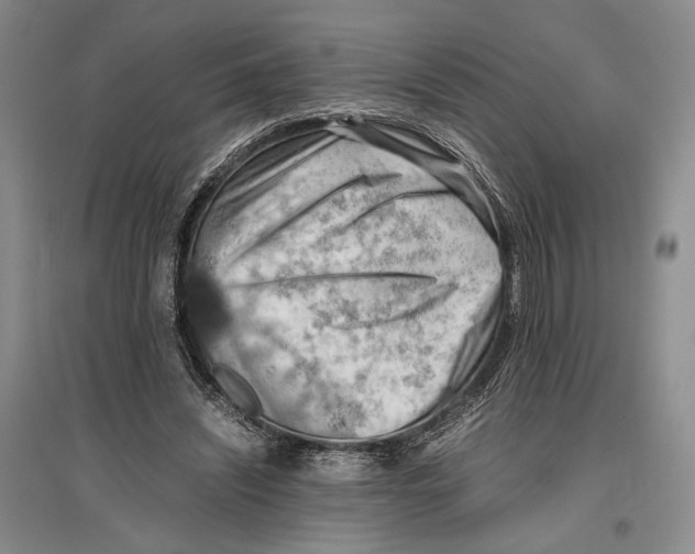 X0000096980444200802291150