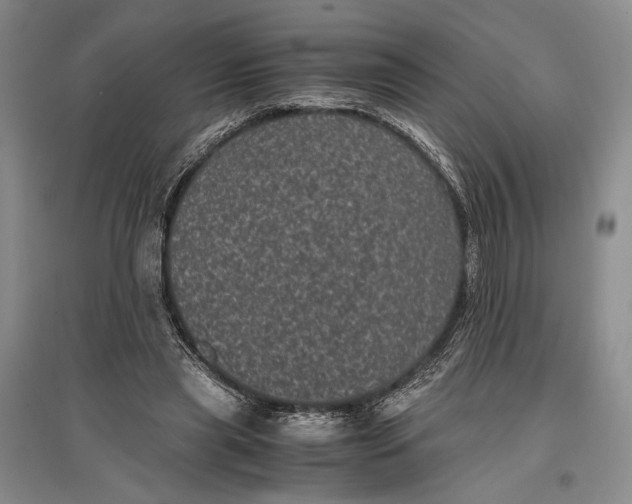 X0000096980445200802291150