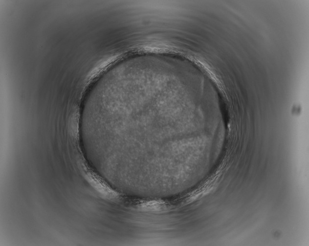 X0000096980446200802291150