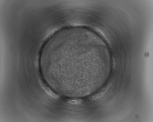 X0000096980447200802291150