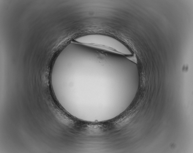 X0000096980450200802291150