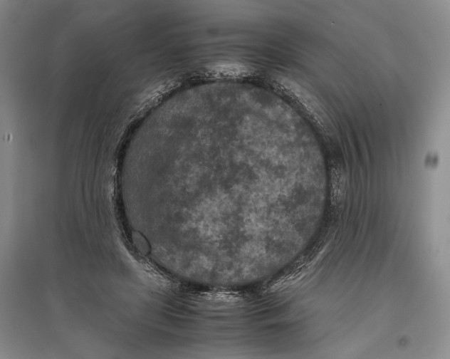 X0000096980451200802291150