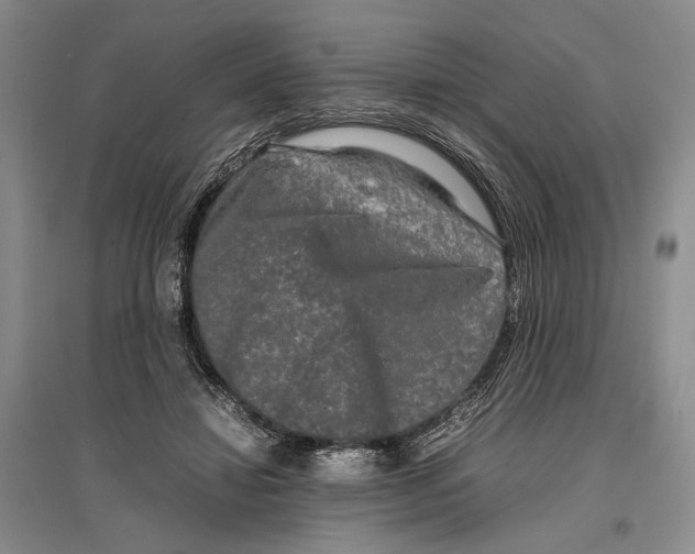 X0000096980452200802291150