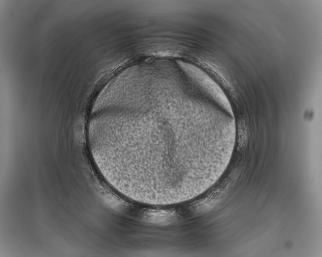 X0000096980453200802291150