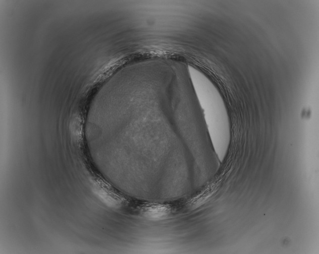 X0000096980456200802291150