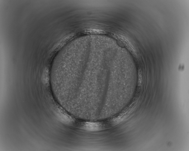 X0000096980457200802291150