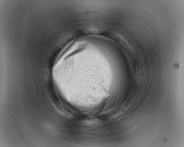 X0000096980459200802291150