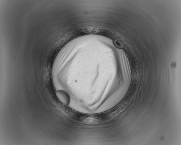 X0000096980460200802291150