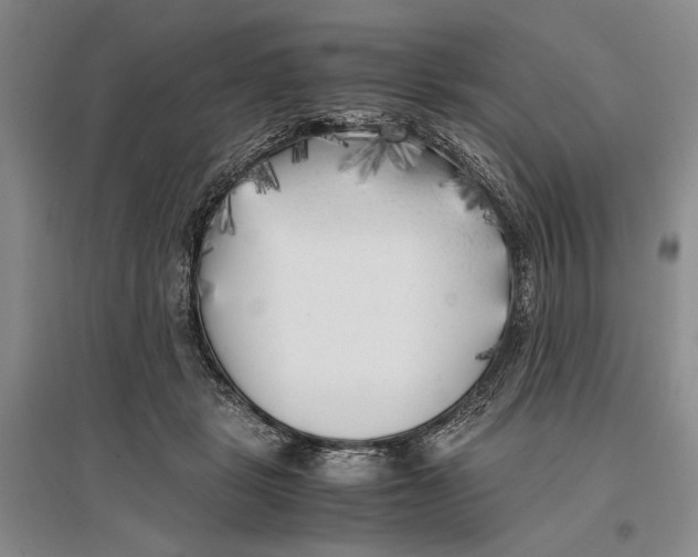 X0000096980461200802291150