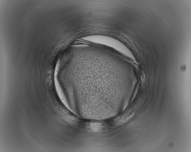 X0000096980462200802291150