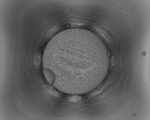 X0000096980463200802291150