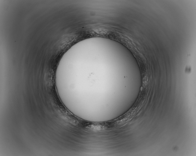 X0000096980464200802291150