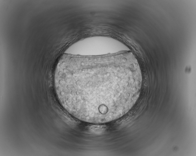 X0000096980465200802291150