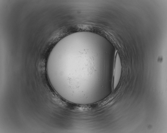 X0000096980466200802291150