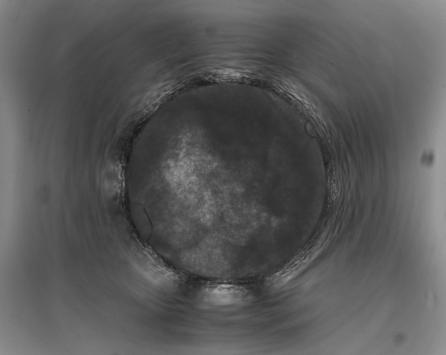 X0000096980467200802291150