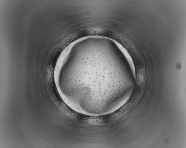 X0000096980468200802291150