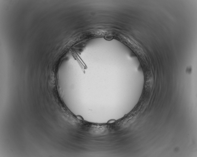 X0000096980469200802291150