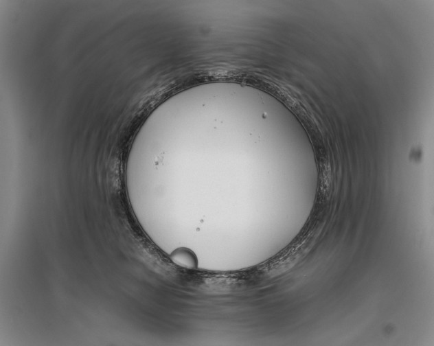 X0000096980470200802291150