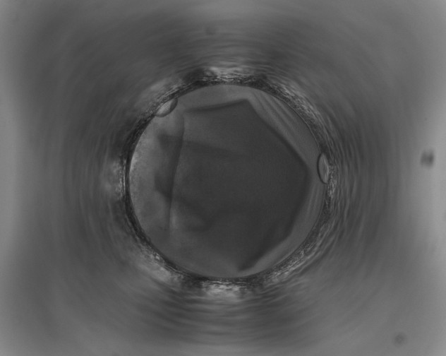 X0000096980471200802291150