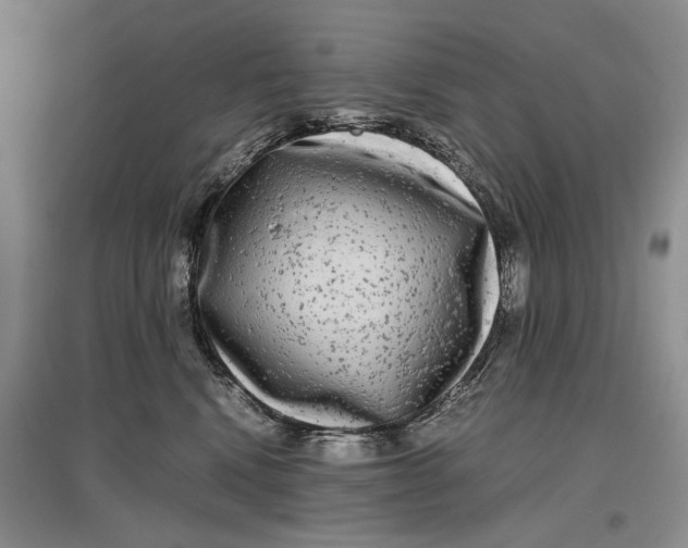 X0000096980472200802291150