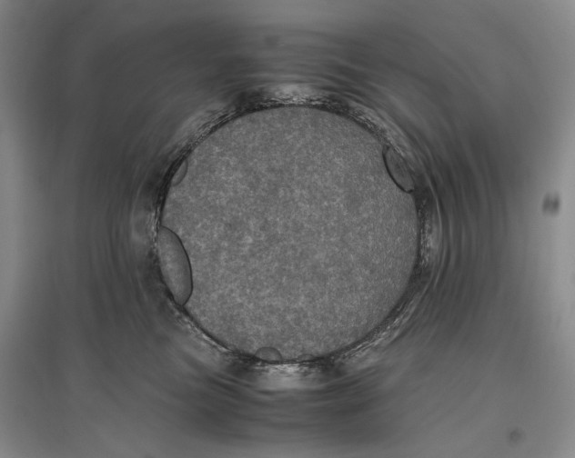 X0000096980473200802291150