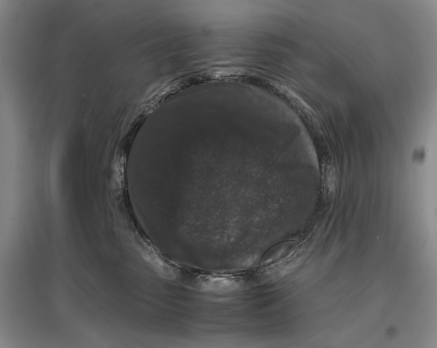 X0000096980475200802291150