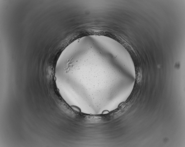 X0000096980476200802291150